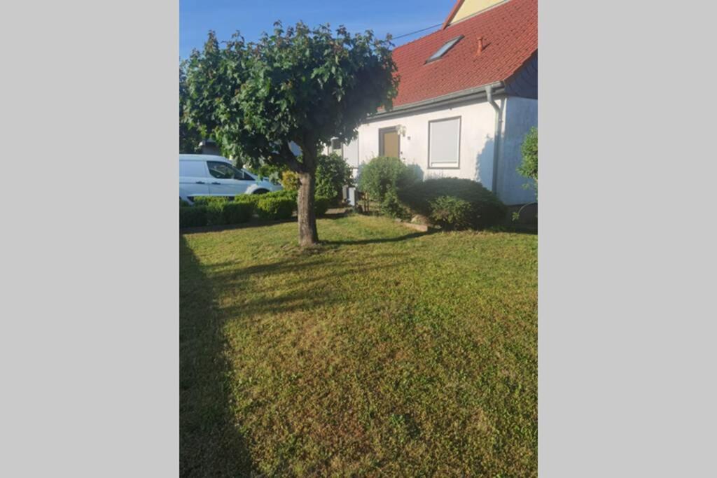 Wohnung Naehe Losheimer Stausee Niederlosheim 외부 사진